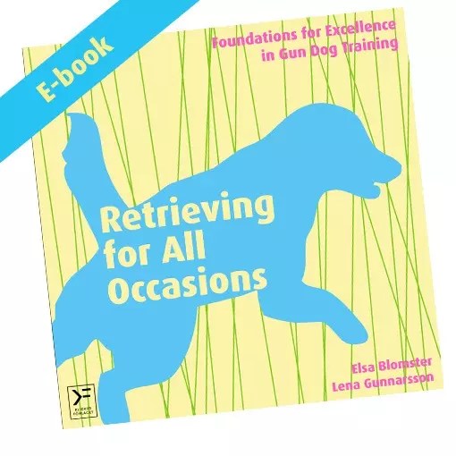 Retrieving for All Occasions - ebook